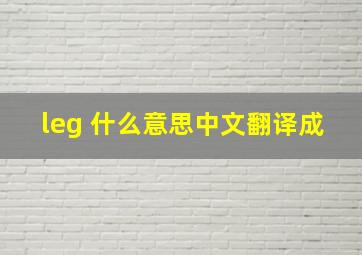 leg 什么意思中文翻译成